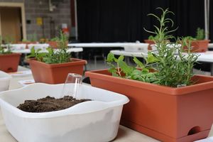 Herb Container Garden Workshop at the Botanical Gardens