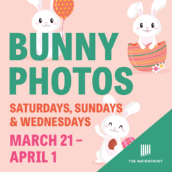 Bunny Photos at The Waterfront