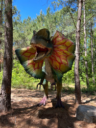 Dinosaur World at Sweet Valley Ranch