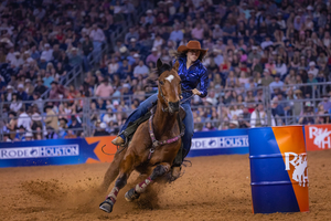InterContinental Houston Rodeo Package
