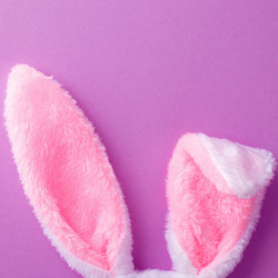 MONTCLAIR PLACE WELCOMES THE EASTER BUNNY FOR PHOTOS