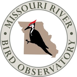 Birdwatching Basics Presented by the Missouri River Bird Observatory