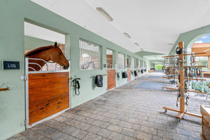 Wellington Barn Tour