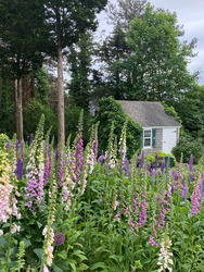 Orleans Improvement Association Garden Tour