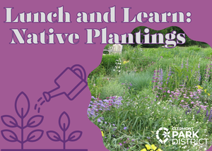 Lunch and Learn: Native Plantings