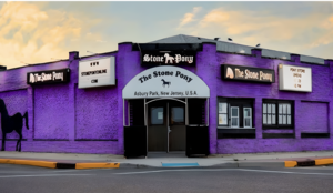 Paint the Pony Purple