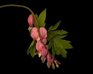 NJ Audubon: Digital Photography Workshop: Close Up Photography