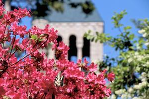 From Tower to Garden: Glencairn's Symbolism Inside and Out Tour