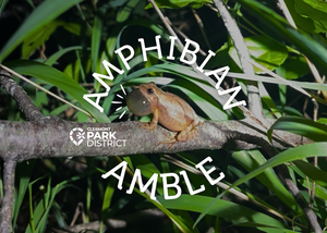 Amphibian Amble