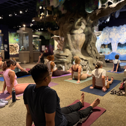 Yoga at the Museum of Miniatures