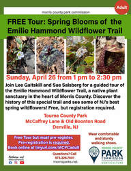Free Tour: Spring Blooms of the Emilie Hammond Wildflower Trail