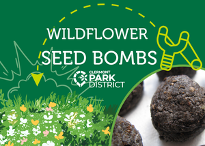 Wildflower Seed "Bombs"