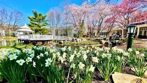 EASTER BRUNCH AT CHERRY VALLEY HOTEL