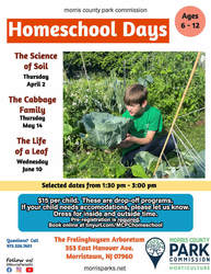 Homeschool Days: The Cabbage Family