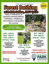 Forest Bathing with Rich Collins, ANFT Guide