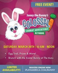 Sonny the Bunny returns for the Colossal Carrot Adventure!