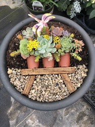 Wine and Art – Succulents and Sauvignon: Artistic Planter