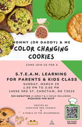 Mommy (or Daddy) & Me STEAM Color Changing Cookies