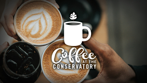 Coffee at the Conservatory