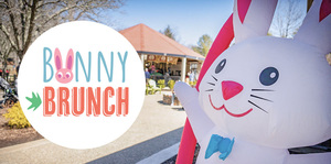 Bunny Brunch