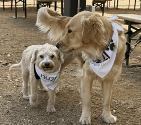Nuzzl Dog Park Meetup