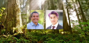 Nature-Based Solutions in the Fight Against Climate Change