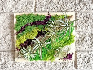 Patchwork Presents Living or Floral Wall Craft Workshop