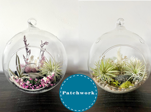 Patchwork Presents Air Plant Terrarium Craft Workshop