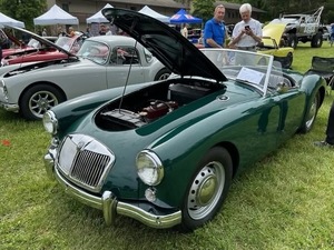 Springtime in the Smokies