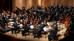 Philharmonia No. 5