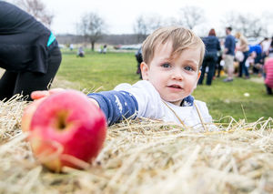 Spring Apple Hunt at Lyman Orchards