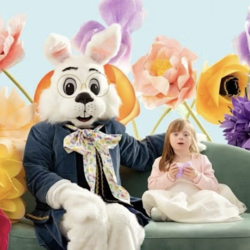 Ross Park Mall Hosts Caring Bunny