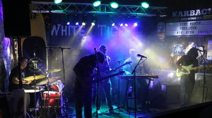 Rippleberry Live at Angel's Icehouse