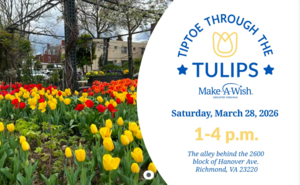 Tiptoe Through the Tulips