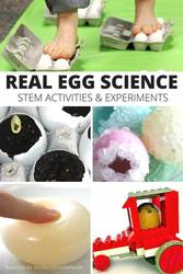 Kids Time: Egg Science