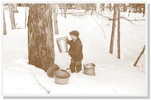 Pancake Breakfasts at River Bend Nature Center