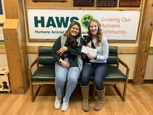 Paint & Pet HAWS Workshop Fundraiser