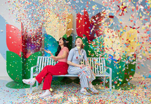 Color Factory: Colors in Bloom