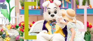 Easter Bunny Photos