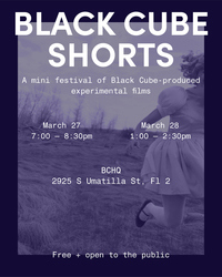 BLACK CUBE SHORTS
