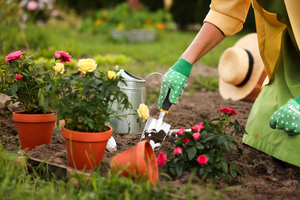 Spring Flowers: Seed Bombs!