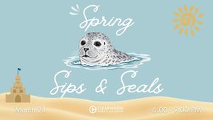 “Spring Sips & Seals” March 21 at Clearwater Marine Aquarium