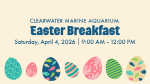 Hop Over to Easter Breakfast at Clearwater Marine Aquarium, April 4