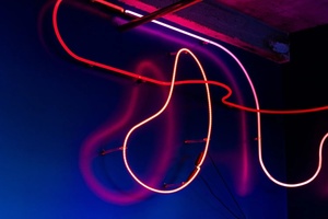 Laura Stevenson: SPRING FEVER