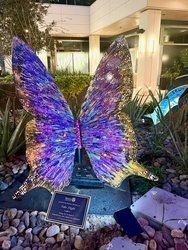 Take Flight 2026 Bidders’ Reception