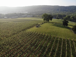 Adult Easter Egg Hunt