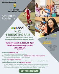 Strengths Fair