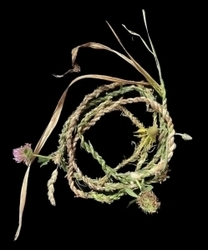 Cordage Making Tuesday