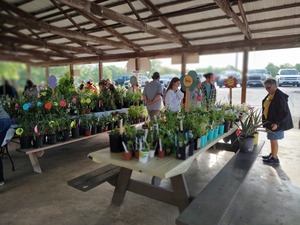 MVGC AnnualPlant Sale