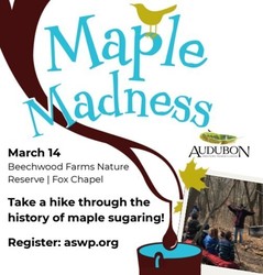 Hike Through Maple History: Maple Madness - BFNR